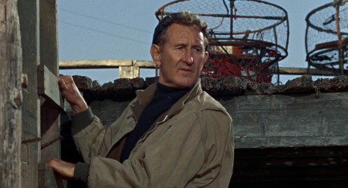 The.Birds.1963.1080p.BluRay.x264.DTS WiKi[(029795)2019 05 10 16 13 36]