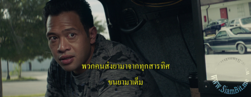 WTTss.png