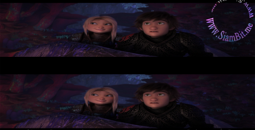 WsDlc.png