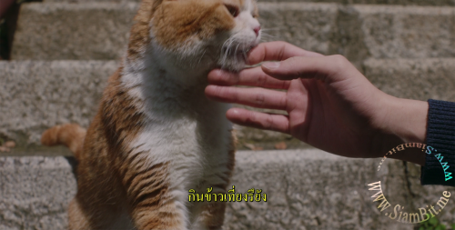 b7dTW.png