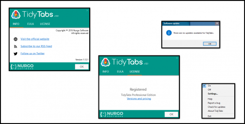 08 TidyTabs Pro