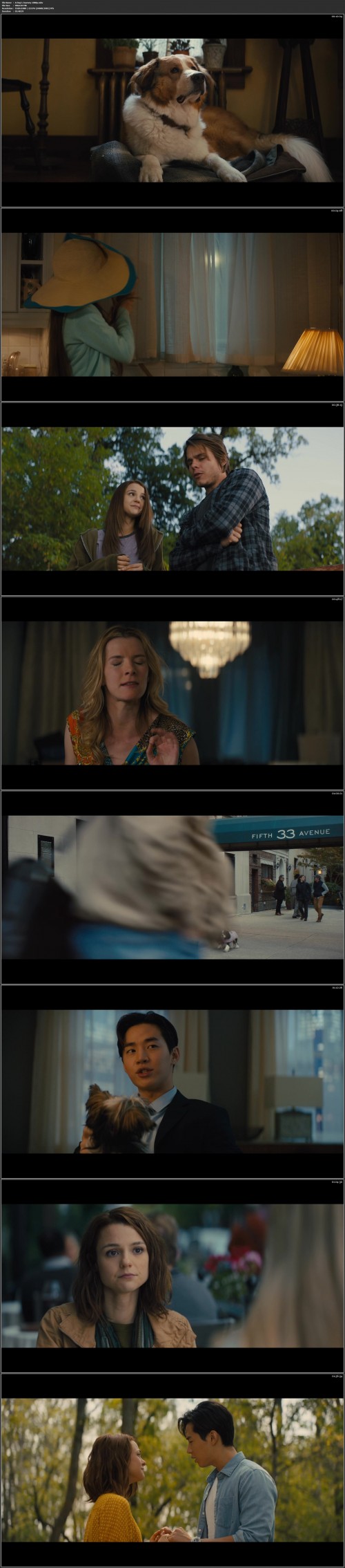 4sHfj.jpg