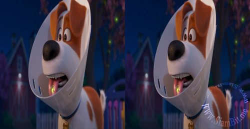 RmywR.png