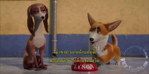 SvBhe.png
