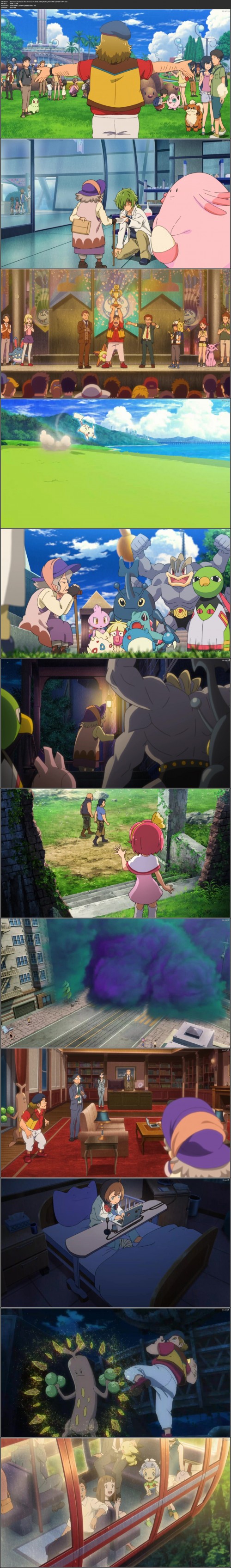 Stz3o.jpg
