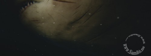 SraUo.jpg