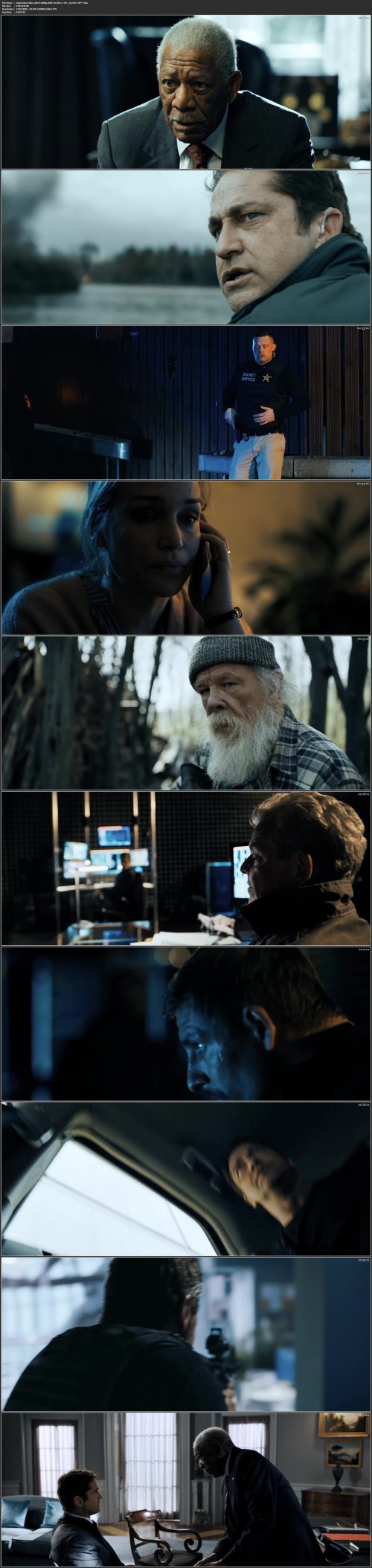 1bdqm.jpg
