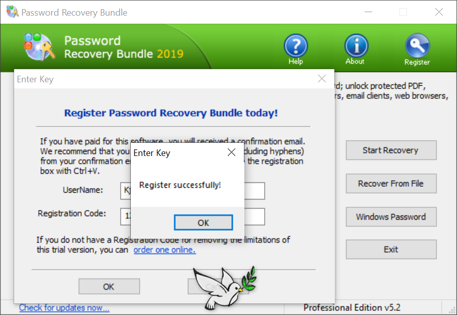 Recover восстановление пароля. Password Recovery Bundle. Windows password Key Standard. Password Key на ПК. Elcomsoft password Recovery.