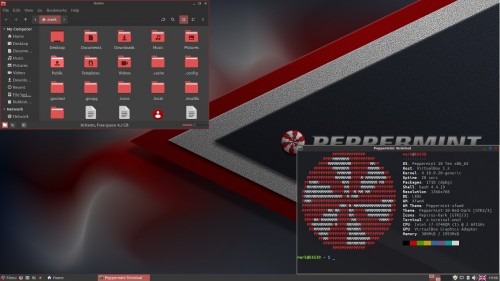 peppermint os 10 desktop screenshot 2