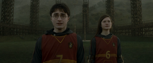 Harry Potter And The Half Blood Prince (2009) 1080p BluRay x264 {Dual Audio} {Hindi Eng DD 5.1} ESub