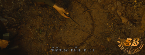 PkyG3E.png