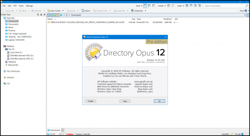 08 Directory Opus Pro