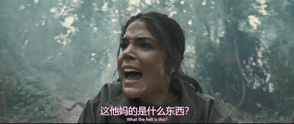 柔道煞星中文字幕