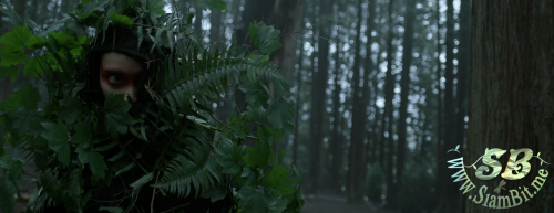 PV2GBA.png