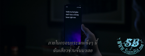 PVVN25.png