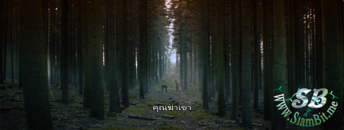 PVsGCn.png