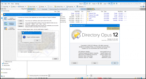 09 Directory Opus Pro