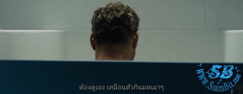 PlmaeD.png