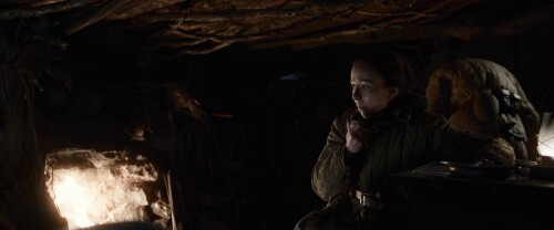 Battle.for.Sevastopol.2015.BluRay.1080p.DTS.x264 EPiC.mkv snapshot 01.20.23 [2021.07.16 14.38.07]