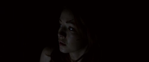 The.Lazarus.Effect.2015.BluRay.720p.DTS.x264 MTeam.mkv snapshot 01.10.02 [2021.07.19 12.43.47]