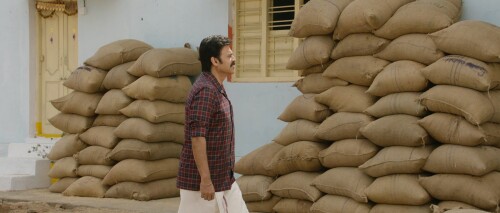 Narappa (2021) Telugu 2160p WEB-DL DDP5 1 HEVC-DUS Exclusive Narappa (2021) Telugu 2160p WEB-DL DDP5 1 HEVC-DUS Exclusive