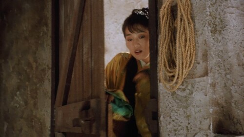Flirting.Scholar.1993.ViE.1080p.BluRay.DD.5.1.x264 c0kE.mkv snapshot 01.00.58 [2021.08.08 09.50.07]