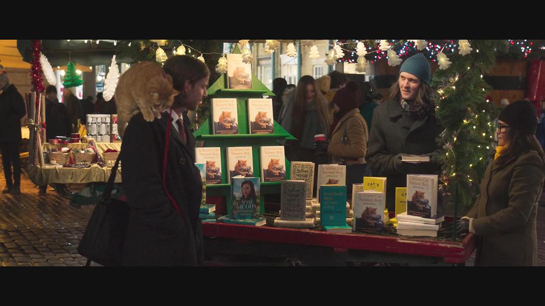 流浪猫鲍勃2在线观看