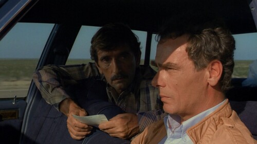 Paris.Texas.1984.720p.BluRay.DTS.x264 CtrlHD.mkv snapshot 00.30.16 [2021.08.30 11.25.20]