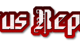 P5WFyn