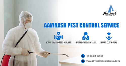 Looking for the best pest control service in Chennai, Aavinash is one of the top pest control in Chennai.

Aavinash pest control provides our services to local and commercial facilities to eliminate both domestic and industrial pest control in Chennai.
Why aavinash pest control?

We provide specialized, responsive, accessible, and reliable pest control services to residential and commercial customers. If you need practical and specific pest control services, call us at +91 98414 97999

Visit our website: http://www.aavinashpestcontrol.com/