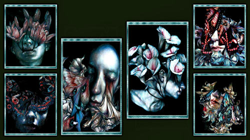 PrClAq.png