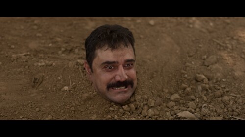 QogVAs.jpg