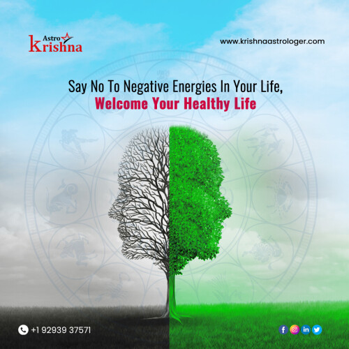 ✔️ Krishna Astrologer is an expert in the removal of negative energies and will help you live a happier and healthier life

✔️ Consult our astrologer right away if you want to overcome your sadness in life

✔️ Take advantage of extensive astrological solutions

📞 (+1) 929 393 7571

🌐 https://www.krishnaastrologer.com

Follow Our Instagram Page https://www.instagram.com/krishnaastrousa