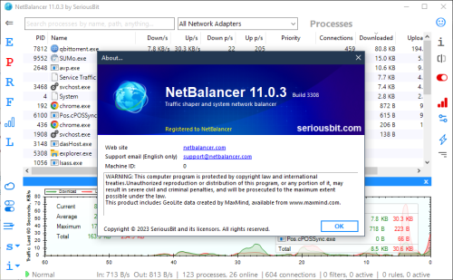 NetBalancer11 4