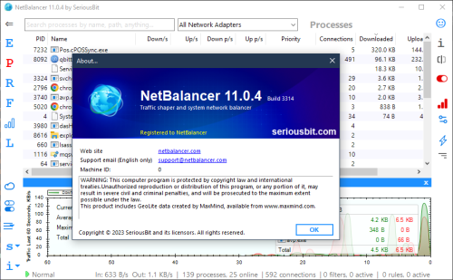 NetBalancer11 4