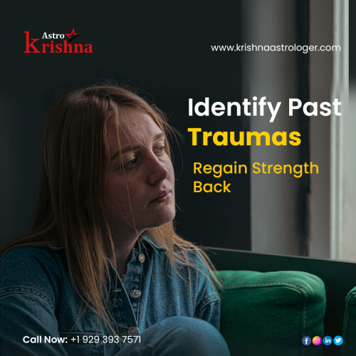 Pandit Krishna is the Best Indian Astrologer in the USA and will guide you through the healing process of identifying your traumas. Then we can release the energy that is connecting you to them.

Book your session today at (+1) 929 393 7571

🌐 https://www.krishnaastrologer.com/