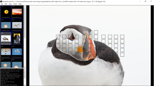 QdfoZd.png