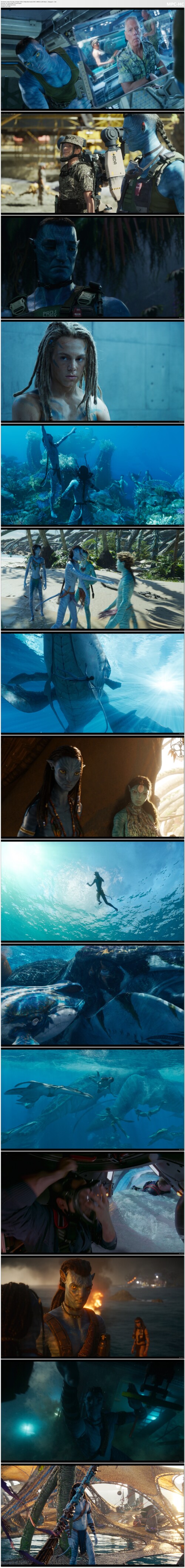 Avatar The Way of Water (2022) 2160p Multi Audio DD5.1 WEB DL x265 Msub =Katyayan= .mkv thumbs