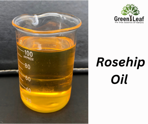 Discover nature's radiant secret with Pure Organic Rosehip Oil - a skin-loving elixir that rejuvenates and glows. Embrace timeless beauty as you indulge in the nourishing essence of youth, bottled just for you. Visit for more info: https://greenleafoil.com.au/collections/carrier-oil/rosehip-oil