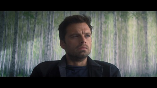 The.Falcon.and.the.Winter.Soldier.S01E01.ViE.1080p.DSNP.WEB DL.DDP5.1.H.264 MTP.mkv snapshot 20.16 [