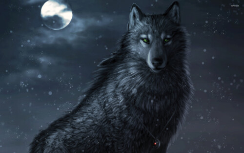 dark wolf 46512 1920x1200