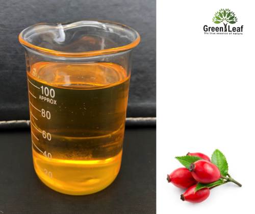 Experience the beauty of organic rosehip oil, sourced from nature's finest. Packed with antioxidants and essential fatty acids, this oil nurtures skin, leaving it radiant and youthful, naturally. 
Visit :https://greenleafoil.com.au/collections/carrier-oil/rosehip-oil