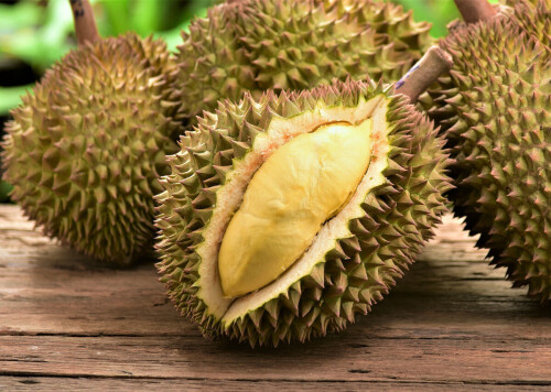 durian 2