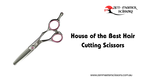 We have the most ergonomically designed hair cutting scissors that will help you use your expertise and yield the best results for your customers. Visit us: https://www.zenmasterscissors.com.au/.