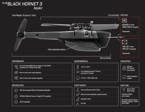 Hornet drone