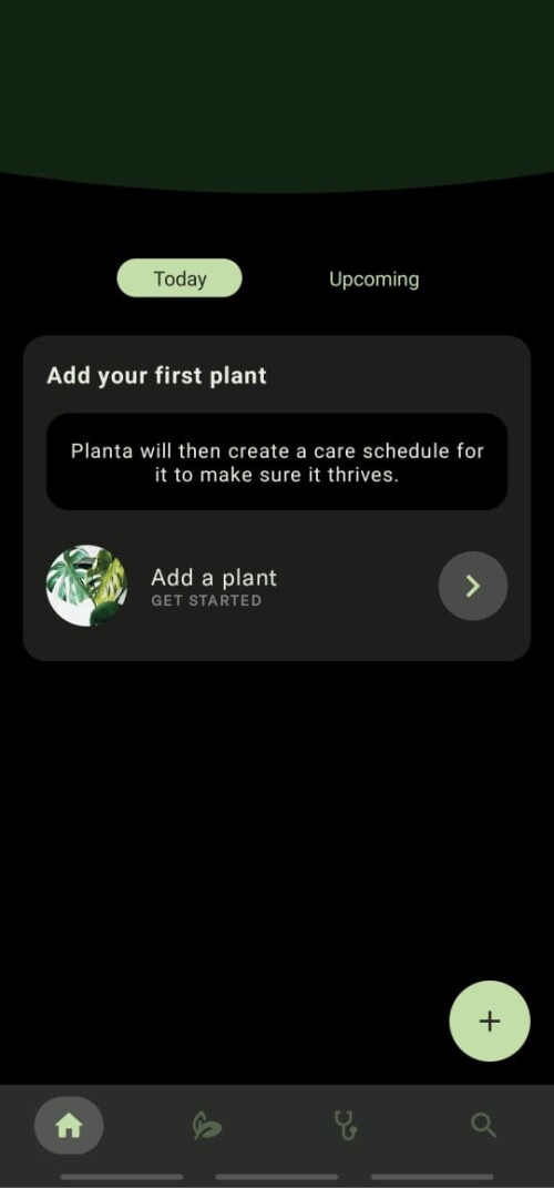 planta3
