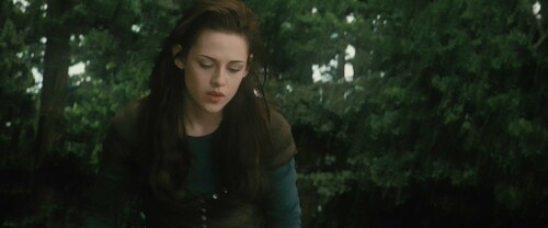 The.Twilight.Saga.New.Moon.2009.720p.BluRay.x264.DTS WiKi.mkv snapshot 01.20.47 [2024.09.10 22.20.51