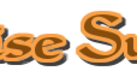 ZPrvPR