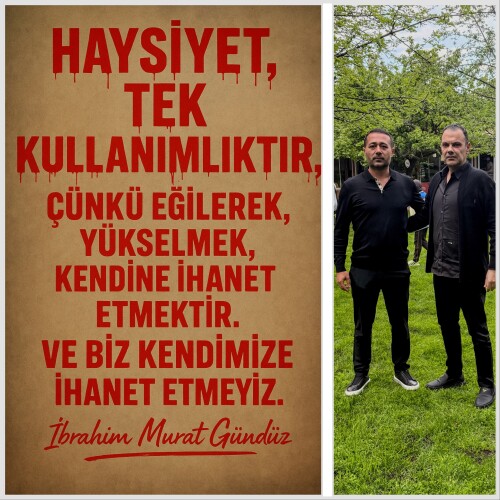 ZQLXFM.jpeg