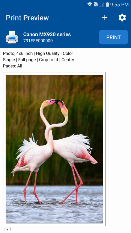 ZZRj9q.png